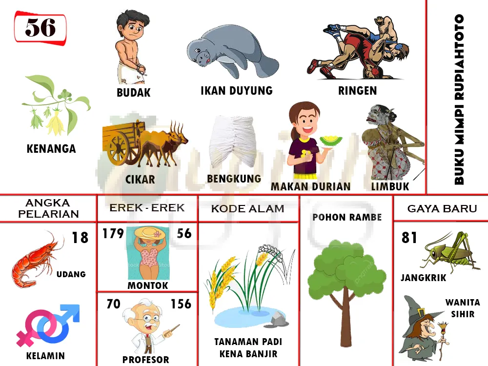 buku mimpi erek erek togel 56